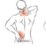 1- Les douleurs ostéo musculaires